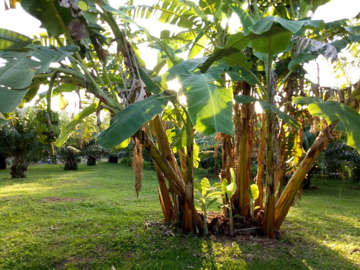 Baan Reenaa Lanta Ko Lanta Exterior foto